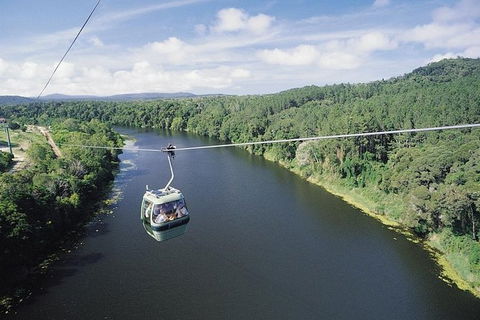 Kuranda Full-Day Small-Group Tour From Port Douglas - Attractions 12