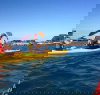 Port Douglas Half-Day Kayak Tour - Attractions