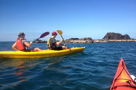 Port Douglas Half-Day Kayak Tour - Attractions 0