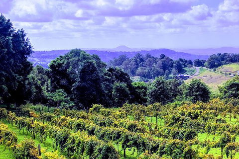 Queensland Food Tour: Farm-to-Table Indulgence - Attractions 6