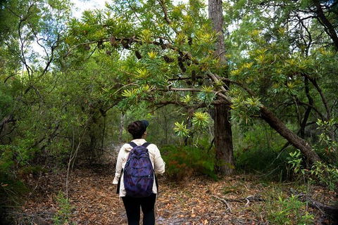 Pack-free Camping: Lake McKenzie Central Hike - 2 Days - Attractions Las Vegas 1