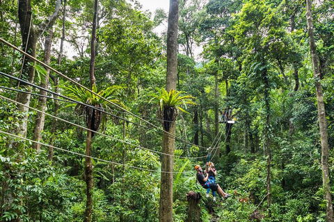 Cape Tribulation And Jungle Surfing Adventure Day From Port Douglas - Attractions 0