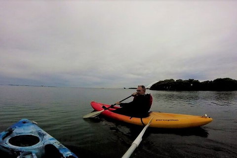 Brisbane Guided Kayaking Tour On Tingalpa Creek - Attractions 5