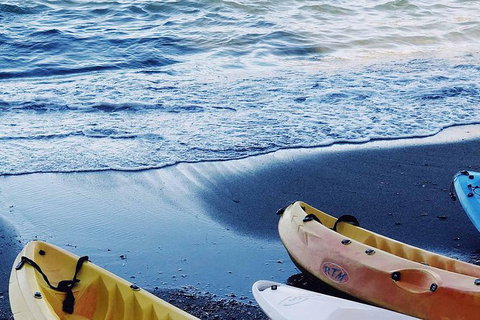 Brisbane Guided Kayaking Tour On Tingalpa Creek - Attractions 2