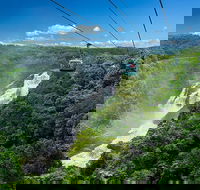 Skyrail Rainforest Cableway Day Trip from Port Douglas - Attractions