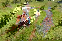 Country Day Ride from Mt Goomboorian with Rainbow Beach Horse Rides