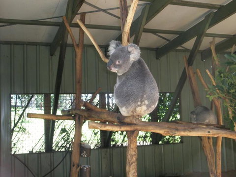 Brisbane Afternoon Tour To XXXX Brewery And Mt Coot-tha - Attractions 3