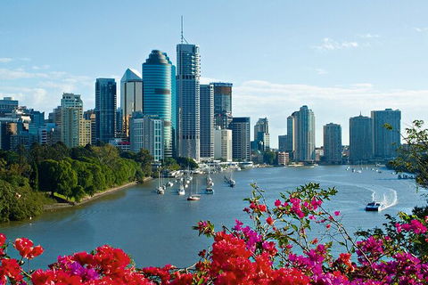 Brisbane Highlights And Lone Pine Cruise From Gold Coast - Attractions 5