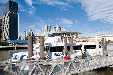 Brisbane Highlights And Lone Pine Cruise From Gold Coast - Attractions 13