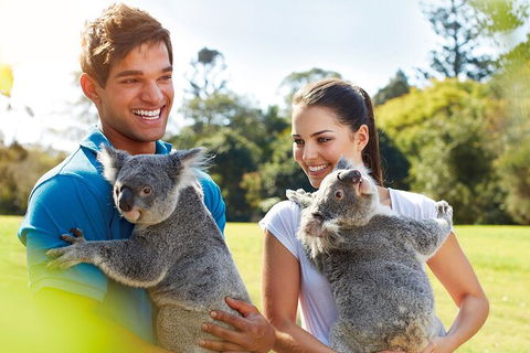 Brisbane Highlights And Lone Pine Cruise From Gold Coast - Attractions 2