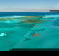 Great Barrier Reef Dive and Snorkel Cruise from Mission Beach - Attractions