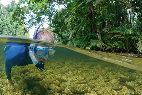 Mossman River Drift Snorkelling From Port Douglas Or Mossman - Attractions 1