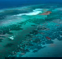 Outer Barrier Reef Sailing and Snorkeling Adventure from Port Douglas - Attractions