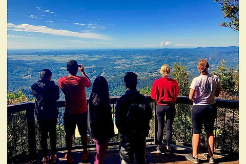 Springbrook Full Day Tour - Attractions 0