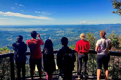 Springbrook Full Day Tour - Attractions 2