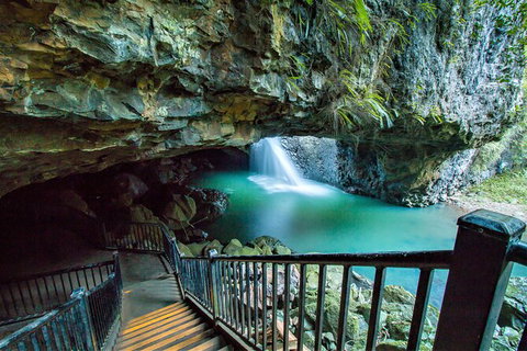 Springbrook Full Day Tour - Attractions 12