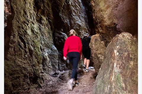 Springbrook Full Day Tour - Attractions 7