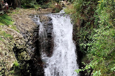 Springbrook Full Day Tour - Attractions 4