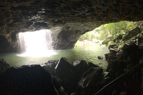 Springbrook Full Day Tour - Attractions 9