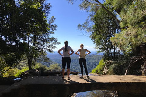 Springbrook Full Day Tour - Attractions 15