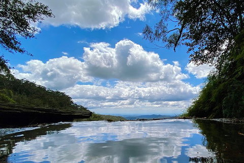 Springbrook Full Day Tour - Attractions 6