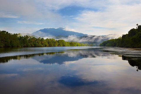 Daintree River Dawn Cruise - Attractions 5