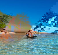 Half Day Low Isles Snorkelling Tour from Port Douglas - Attractions