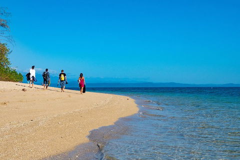 Half Day Low Isles Snorkelling Tour From Port Douglas - Attractions 3