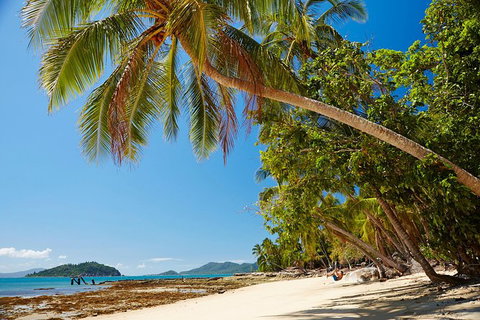 Private Daintree Wanderer Tour - Attractions Las Vegas 4