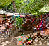 Kuranda Day Trip small group from Port Douglas by bus - Attractions