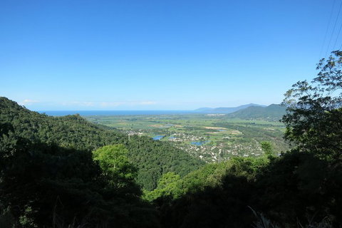 Kuranda Day Trip Small Group From Port Douglas By Bus - Attractions Las Vegas 4