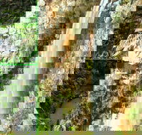 Rainforest  Waterfalls Extravaganza - Attractions