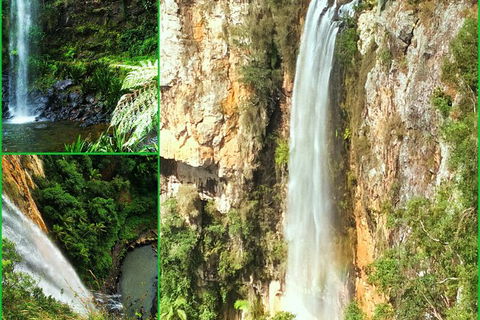Rainforest & Waterfalls Extravaganza - Attractions 0
