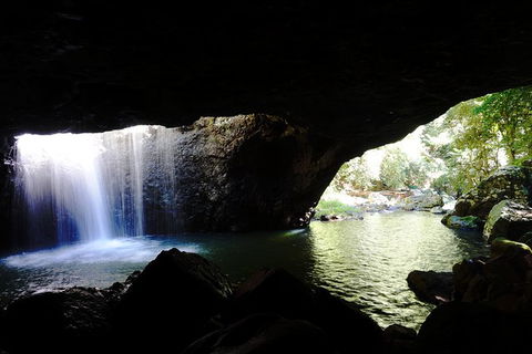 Rainforest & Waterfalls Extravaganza - Attractions 5