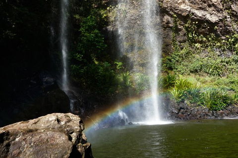 Rainforest & Waterfalls Extravaganza - Attractions 4