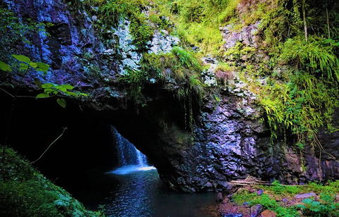 Rainforest & Waterfalls Extravaganza - Attractions 10
