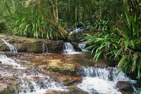 Rainforest & Waterfalls Extravaganza - Attractions 7