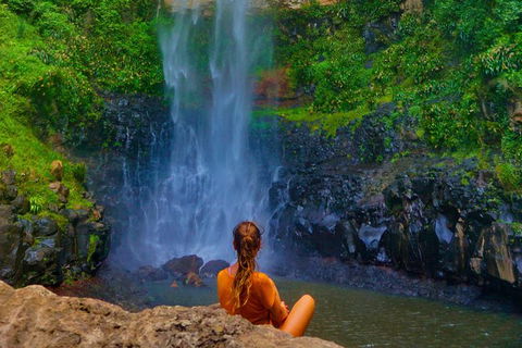 Rainforest & Waterfalls Extravaganza - Attractions 11