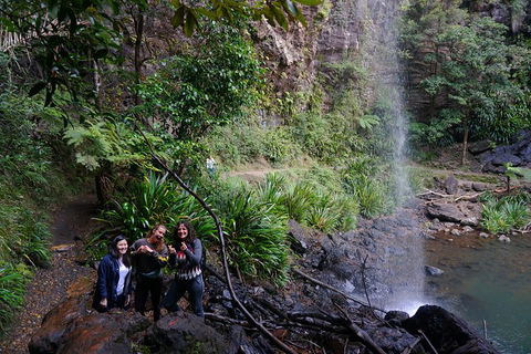 Rainforest & Waterfalls Extravaganza - Attractions 9
