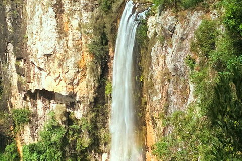 Rainforest & Waterfalls Extravaganza - Attractions 3