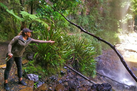 Rainforest & Waterfalls Extravaganza - Attractions 8