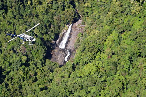 Scenic Reef & Rainforest Helicopter Flight From Port Douglas - Attractions 1