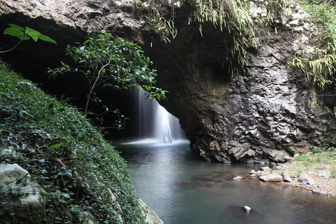 Small-Group 4WD Springbrook National Park Day Trip From Brisbane - Attractions 0