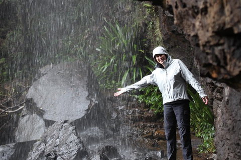 Small-Group 4WD Springbrook National Park Day Trip From Brisbane - Attractions 6