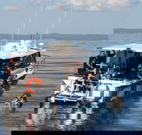 Hervey Bay Whale Swim and Watch - Attractions