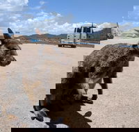 Magnetic Island Tour Maggie Comprehensive - Attractions