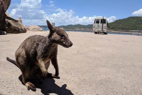 Magnetic Island Tour: Maggie Comprehensive - Attractions 0