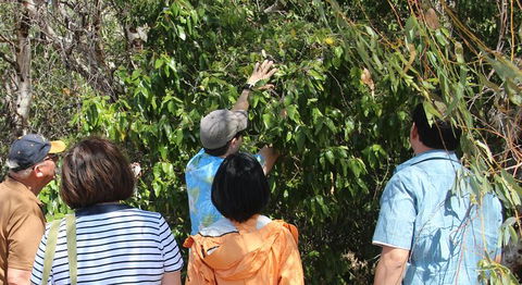 Magnetic Island Tour: Maggie Comprehensive - Attractions 6