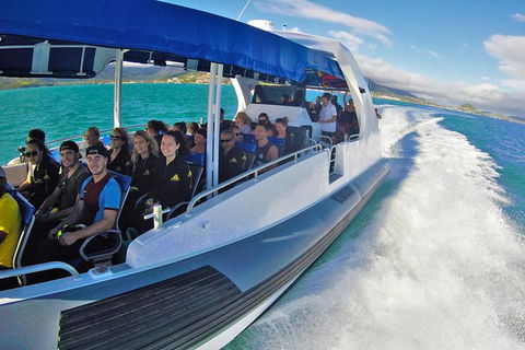 Whitehaven Beach Day Tour With Snorkel In Whitsundays Island - Attractions 12