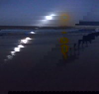 Full Moon Horse Ride at Rainbow Beach - Attractions